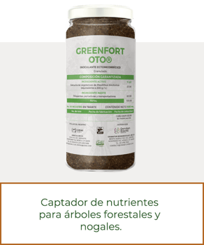 oto-prod2