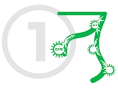 oto1