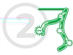 oto2