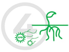 oto4