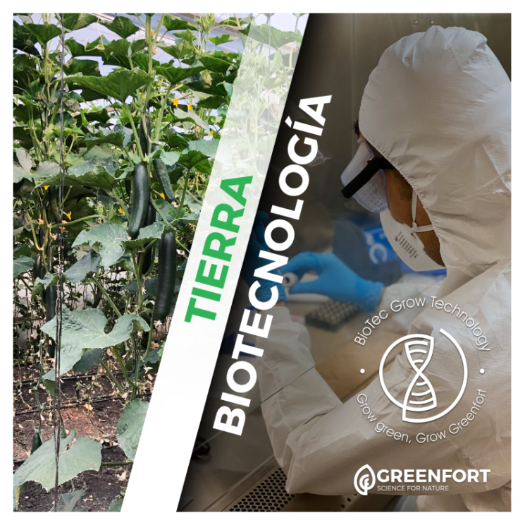 Tierra_biotecnologia